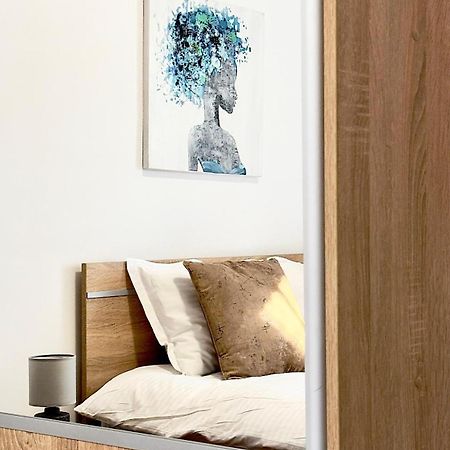 Phoenix Central Apartments Сибиу Екстериор снимка