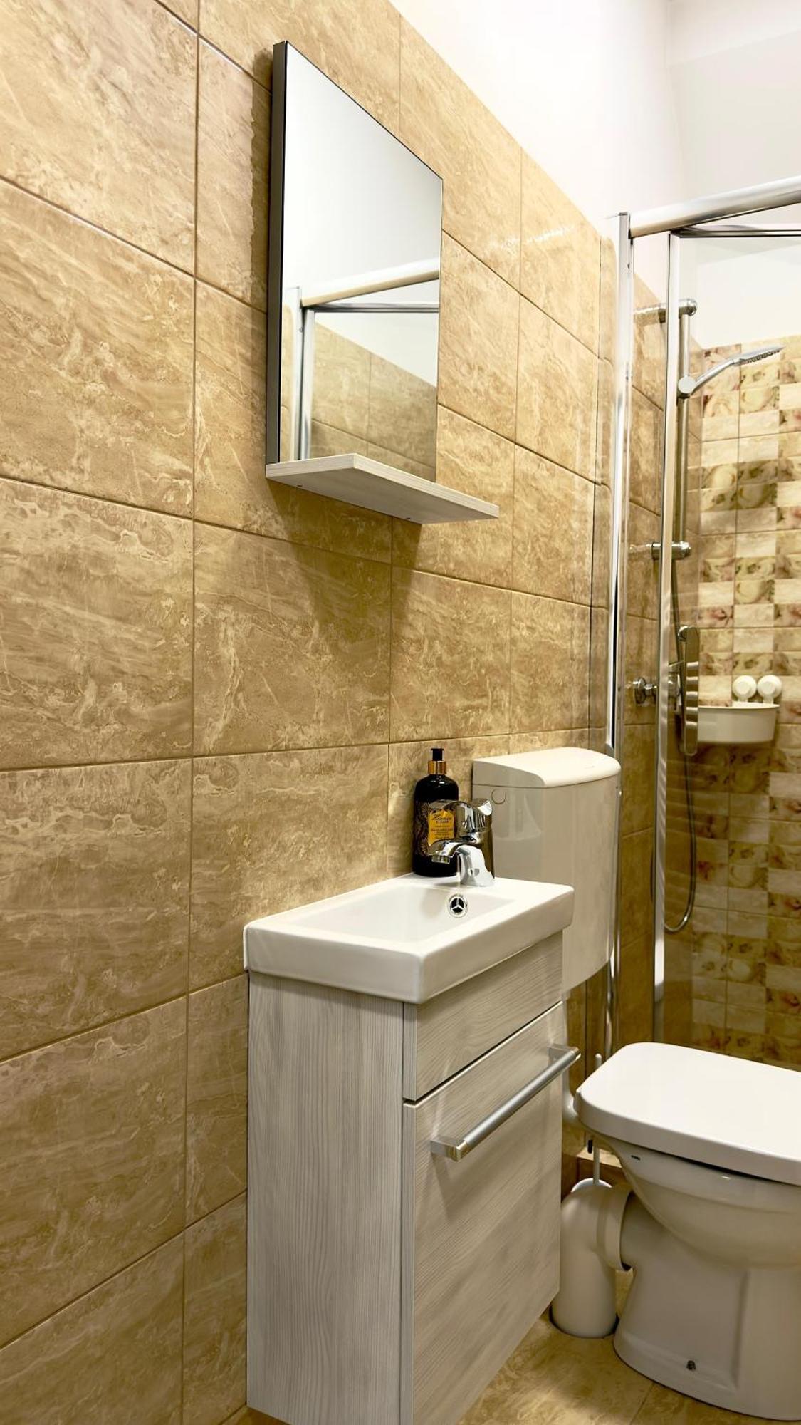 Phoenix Central Apartments Сибиу Екстериор снимка